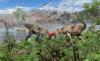Science ABC News Paleontologists discover earliest dome-headed dinosaur