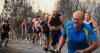 Climate change responsible for 16,500 heat-related deaths in Europe this summer, scientists find