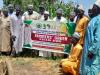 Agric institute unveils maize variety to boost food production