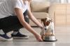 Canada faces Salmonella outbreak linked to dog food and treats