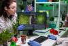 How technology advancement impacts the food industry