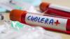 Cholera deaths surge 50% in 2024 as over 6,000 die globally – WHO