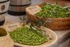 From tangerines to olives: How climate change is reshaping Jeju agriculture