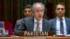 Terrorism emanating from Afghanistan remains 'gravest threat' to Pakistan, UN told