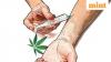 India, Pakistan named as ‘major illicit drug producing countries’ by Trump