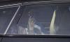Christian Brueckner heads straight to McDonald's while wearing an ankle tag as he is released from prison - after prosecutors won last-minute legal fight to stop him fleeing Germany