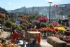 Tbilisi gears up for Tbilisoba 2025 with music, markets, and citywide festivities
