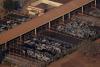 Brazil's beef exports to US to fall further in September after tariffs, industry group says