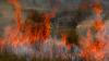 EU struggles on climate plan ahead of Brazil conference
