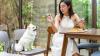 Dogs will be allowed in designated restaurants in Hong Kong under new licence