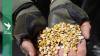 Lebanon army seizes 64 million captagon pills in major drug bust