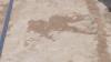 Fastest Cretaceous theropod tracks discovered in Inner Mongolia