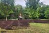Plans Bloom for a Microforest in Princeton as New Jersey Residents Tackle Rising Heat