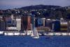 New Zealand economy shrank more than forecast in second quarter; NZ dollar sinks