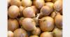 Paraguayan onion growers protest against smuggling