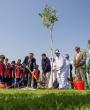 Tree planting in cooperation with El Salvador Embassy