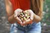 Brazil Nuts: Amazonian Superfood Delivering Selenium and Antioxidant Power