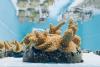 How Coral Vita Is Building A Business To Save Reefs—And Why Brands Should Dive In