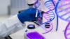Scientists unlock genetic secrets of Turkanas survival