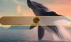 Retail Traders Keep Bitcoin Floating Above $117K, But One Whale Move Could Change Everything