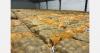 "Despite low market prices, potato exports are not yet surging"