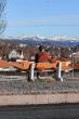 Study Reveals the Surprising Reason Colorado’s Accent Isn’t Trusted