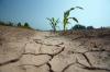 Horn of Africa to experience dry weather until Dec