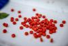 Australian state bans testing of drugs for recreational use