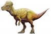 Oldest and Most Complete Dome-Headed Dinosaur Discovered in Mongolia