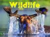 Buy Your 2026 New Hampshire Wildlife Calendar Today