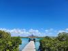 Scientists Highlight Coral Bleaching Threat in Mauritius in Latest Whitepaper