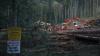 Derek Nighbor: From decline to growth: Getting Canadian forestry’s swagger back 