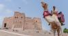 From Yemen to the UAE by camel: Muneer Al Dahmi's epic journey to promote peace