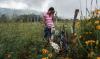 146 Land and Environmental Defenders Killed or Disappeared in 2024