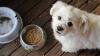 Health officials link salmonella cases to dog food brand as B.C. cases rise