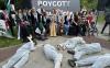 Do not boycott Eurovision over Israel, pleads Austria