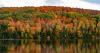 American Airlines reveals where travelers are going for peak fall colors
