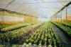 Sustainable use and management of plastics in agriculture