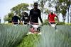 Japan Paying Close Attention to Madagascar, Other African Countries as Source of Workers for Agricultural Industry