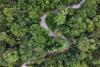 Setting the record straight on Jurisdictional REDD+: The case of Brazil