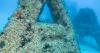 Dubai's man-made reef turning the tide as marine life starts to return