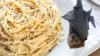 Lifestyle Euronews Drunk bats and pasta clumps: The winners of 2025’s Ig Nobel Prizes
