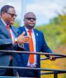 Ignoring the will of the people: Legal, political, and future consequences of tampering elections in Malawi