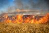 Syria Grapples with Wildfires in Latakia Countryside
