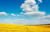 Heat Records Have Been Updated In Belarus For Two Days In A Row