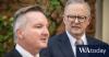 Climate scientists target Albanese as Turkey holds out on COP talks