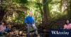 Bob Brown: What ‘the biggest herd of mammals’ can do to save the planet