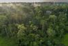 Brazil confident new rainforest fund will reach $10bn donor milestone