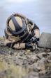 Navy EOD Joins 17 Allied Nations in Iceland