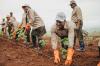 French vines take root in Mauritius: A taste of future vintages by 2028